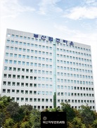 부산 변호사 사무실의 성범죄 