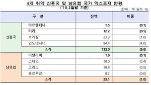 신흥국 금융불안, 국내 전이 가능성은 낮아