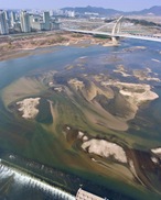 4대강 보 개방 뒤 생태계 개선 확인…한강·낙동강 추가 모니터링