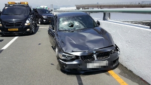 경찰 “김해공항 BMW 교통사고 동승자 현장서 안 떠났다”
