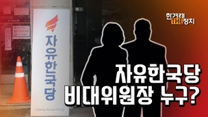 공천권 없는 한국당 비대위원장, 혁신도 없다? [더정치]