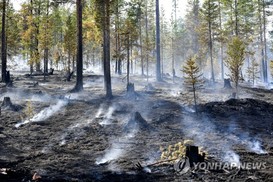 스웨덴 ‘최악산불’에 폭탄투하 진화…“7월 평균기온 260년만 최고”