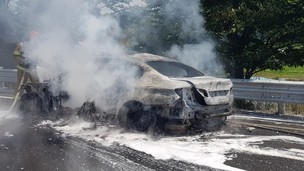 BMW 하루 걸러 불나는데…국토부 “원인 분석 10개월 소요”