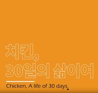 [영상] 치킨, 그 짧은 30일의 삶에 대하여