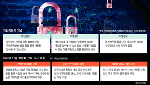 개인정보 빅데이터 ‘판도라의 상자’가 열릴까