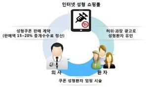 ‘인터넷 성형 쇼핑몰’ 할인쿠폰 판매업자 징역형