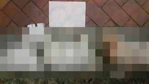 부산 오피스텔서 강아지 3마리 추락사