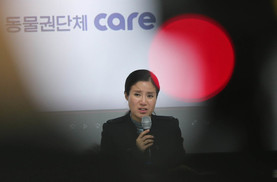 ‘구조동물 안락사’ 케어 박소연 대표 14일 경찰 소환