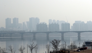 미세먼지는 폐 질환에 심장병·암 위험도 높여