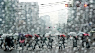 전국 요란한 봄비…돌풍, 천둥·번개에 벚꽃 ‘우수수’