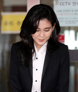 경찰 “이부진 프로포폴 상습 투약의혹 사실관계 확인 중”
