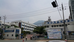 부산에서 큰 개가 30대 남성 중요 부위 물어