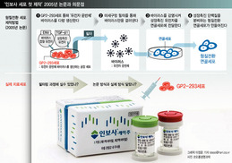 2005년 첫 논문 속의 그 많던 ‘인보사 세포’는 어디로