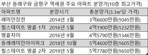 치솟는 부산 역세권…투기꾼 먹잇감 됐나