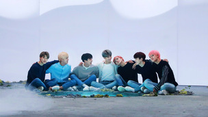 "BTS 교통카드는 소장품…길에서 주워가면 점유이탈물 횡령"
