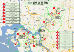 [속보] 정부, 파주·김포 돼지 전량 처분키로