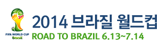 브라질 월드컵
