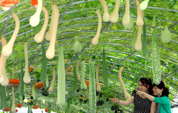 만든 곳→ 한국 네티즌본부카페: 변조방지표시