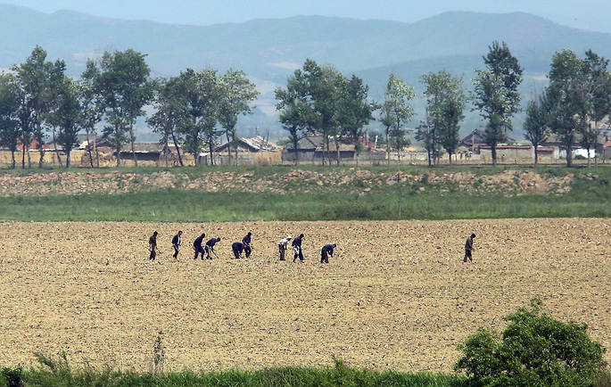 사진이 안보일 때→우측클릭→'사진보기' 클릭, OK. ☞작성: Daum카페: 한국 네티즌본부