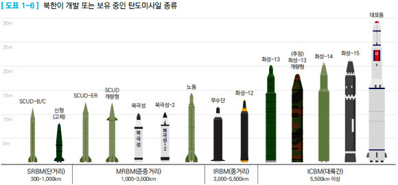 国防白書 北朝鮮版イスカンデル 短距離弾道ミサイルに分類 政治 社会 Hankyoreh Japan