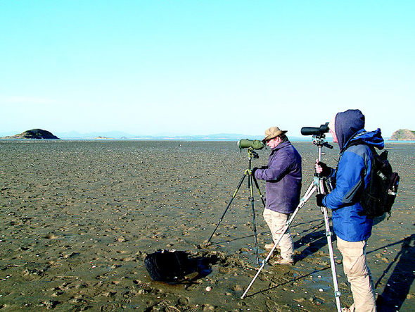 지난 4일 금강하구 유부도에서 도요·물떼새를 조사하고 있는 영국인 닐 무어스(왼쪽)와 뉴질랜드인 토니 크로커. 이들은 “여기도 세계적으로 뛰어난 서식지이지만 새만금은 더 좋았다”며 이 일대의 간척계획을 의아해 했다.

