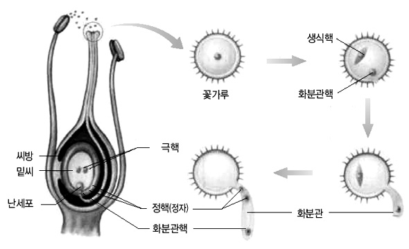 ì†ì