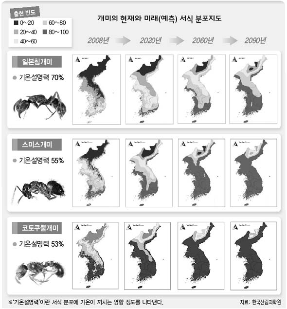 온난화 온도계' 개미 지도 그린다 : 과학 : 미래&과학 : 뉴스 : 한겨레모바일