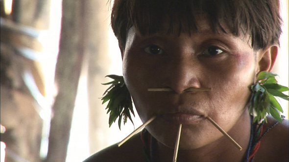 아마존의 눈물' 속 웃던 원주민들 숯덩이처럼 탄 주검으로… : 미국·중남미 : 국제 : 뉴스 : 한겨레모바일