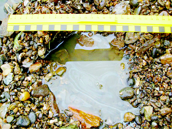 2012년 태안해안국립공원 모항 지역 해변에서 발견된 ‘잔존 유징’. 해변에 판 구덩이에 차오른 바닷물 위에 엷은 기름띠가 보인다. 