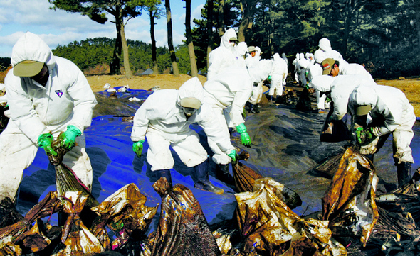 국립공원관리공단 직원들이 2007년 12월 충남 태안군 소원면 의항리 구름포 해변에서 길게 줄을 지어 기름 제거 작업에서 나온 폐기물을 옮기고 있다.