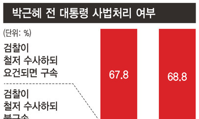 탄핵 뒤 ‘박근혜 동정론’은 없었다