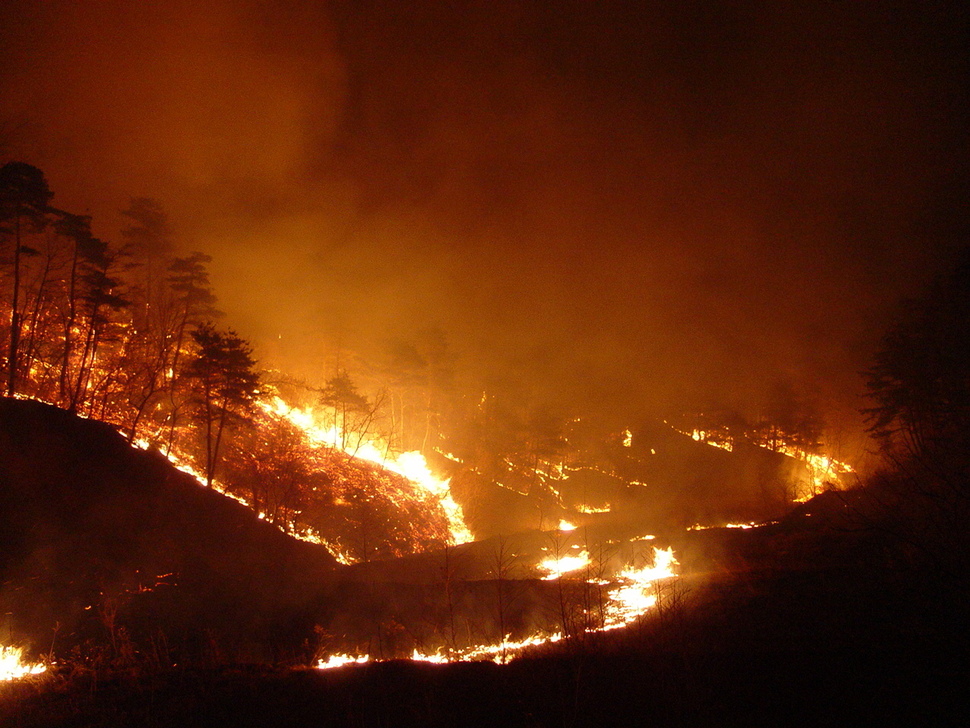 낮 시간대에 발생한 산불을 조기에 진화하지 못하면 대형 산불로 번지기 십상이다. 일몰 이후에는 안전사고 우려 때문에 진화 작업을 정상적으로 진행하기가 어렵기 때문이다. 산림청 제공