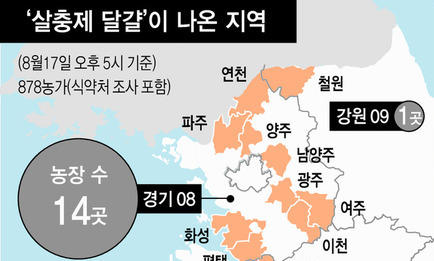 전수검사 끝난다고 안심하고 달걀 먹을 수 있나