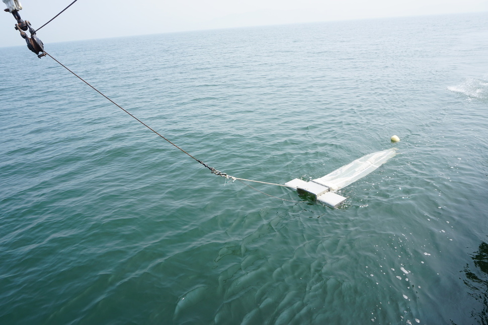 한국해양과학기술원 연구팀이 남해 연안에서 미세플라스틱을 조사하는 모습. 남해 일대에서 채집한 대부분의 수산물에서 미세플라스틱이 검출됐다. 한국해향과학기술원 제공.