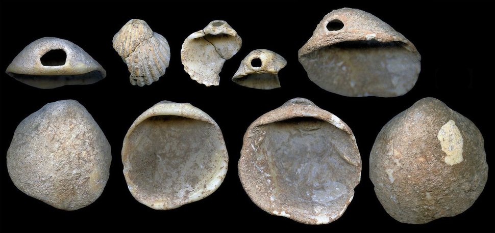 11만5000년 전 것으로 분석된 조개 껍질 장신구. 출처: 사이언스