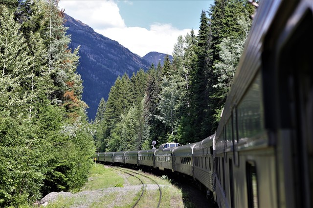 횡단열차가 가문비나무, 자작나무 우거진 로키산맥 산자락을 달리고 있다. 이병학 선임기자