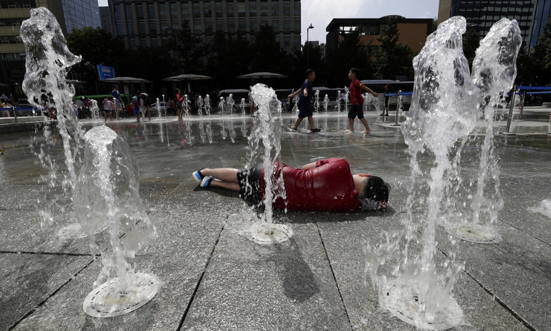Photo] Heat wave overwhelms South Korea : National : News : The Hankyoreh