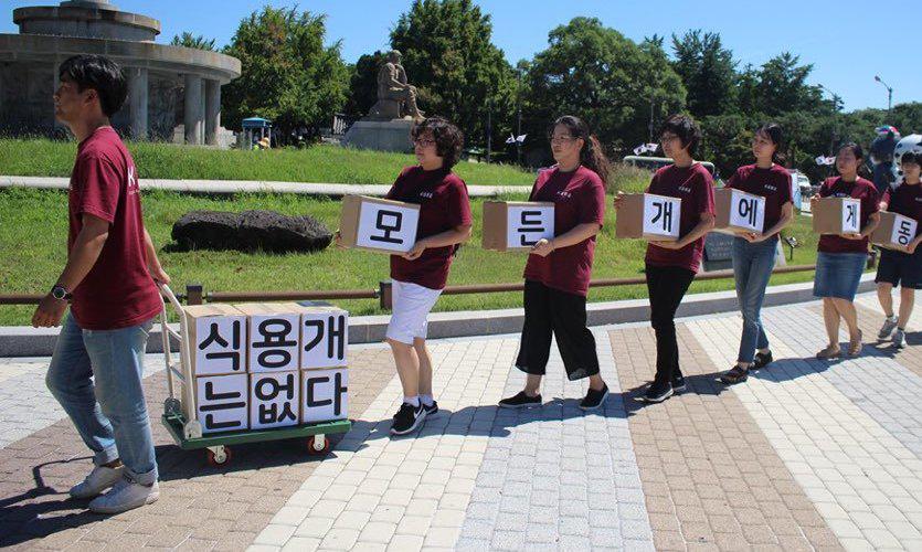 “개식용 종식·개도살 금지” 세계 88만명 서명 청와대에 전달