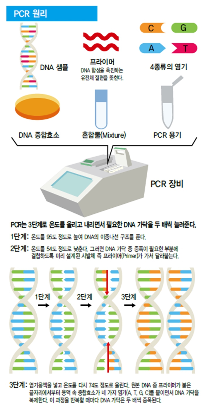 시간 코로나 pcr 검사 PCR 검사란?