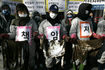 기름유출 법률대책회의 발족 “선주 중과실 여부 엄정수사를”