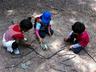 Forest kindergarten