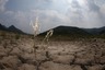Moon landscape in a desiccated dam 