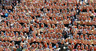 140 tons of kimchi at once