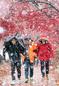 First snow falls through autumn leaves 