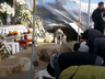 Miryang residents’ fight against electricity towers to stretch into next year
