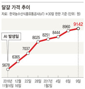 미국산 달걀 164만개 이번주 들어온다지만…