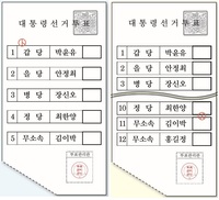 0.3㎝ 좁아진 투표칸…2명 걸치게 찍지만 않으면 ‘유효’