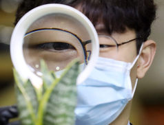 [포토] 붉은불개미 조심하세요