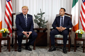 Trump expresses doubts about reports on execution of N. Korean officials