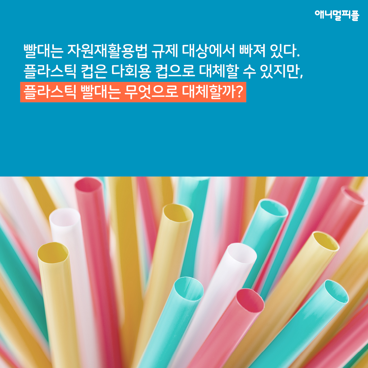 거북이도 반가워할 ‘쌀로 만든 빨대’